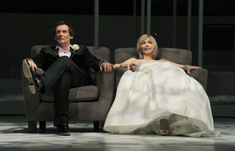 Идеальный муж